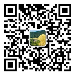 澳州幸运10